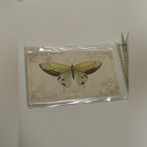 8 Butterfly Note Cards with Envelopes